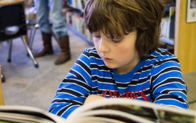 閱讀課程如何幫助初級讀者