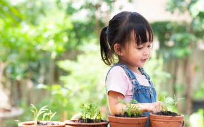 園藝如何培養你孩子的數學技能