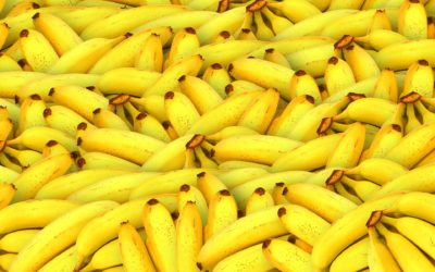 家庭科學:如何從香蕉中提取DNA